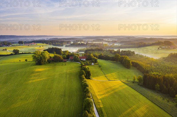 Weiler Waltersteig in the morning light