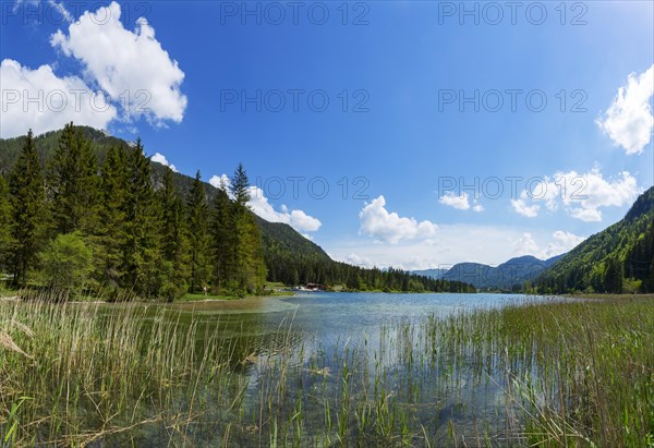 Mountain lake