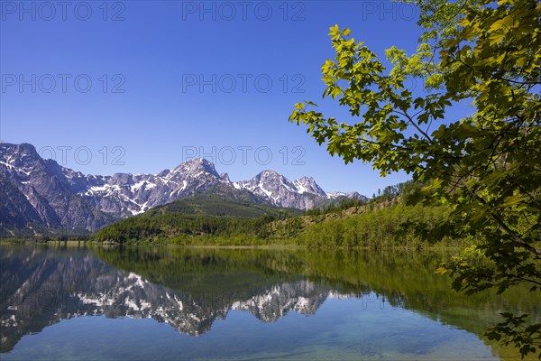 Almsee