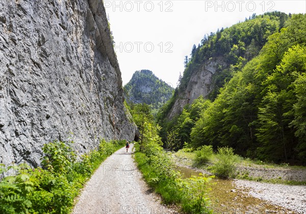 Hike from Rettenbachalm through Rettenbachtal to Blaa Alm