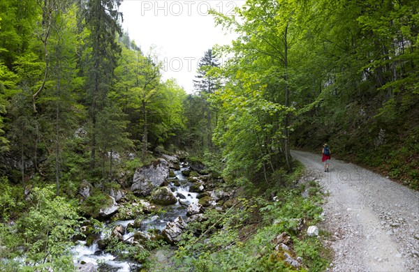 Hike from Rettenbachalm through Rettenbachtal to Blaa Alm