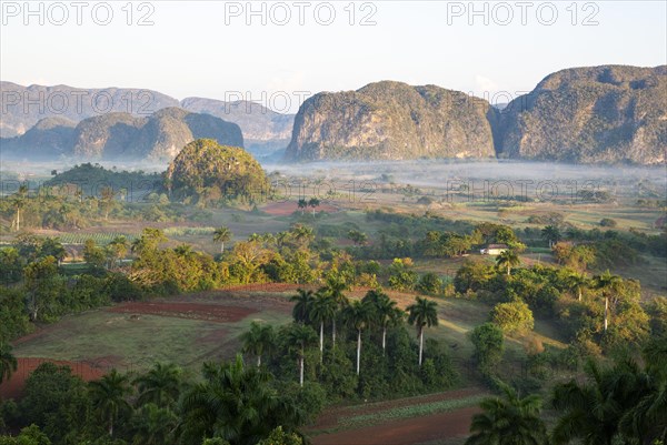 The Vinales valley with its rocky hills