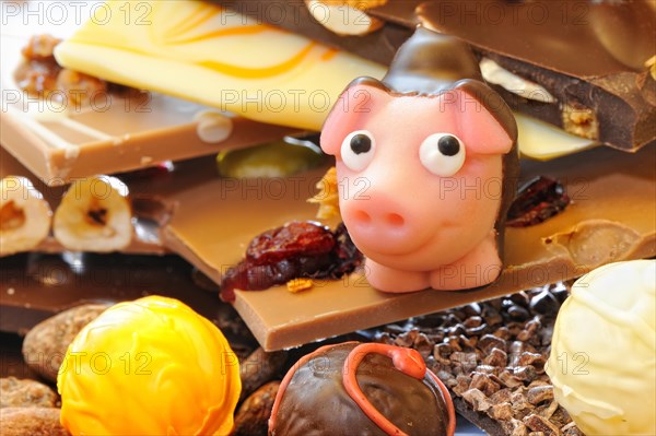 Pink marzipan pig with chocolate