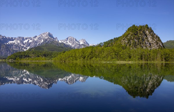 Almsee
