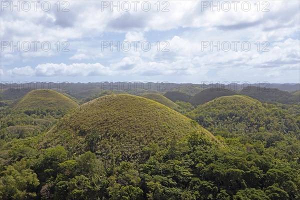 Chocolate Hills
