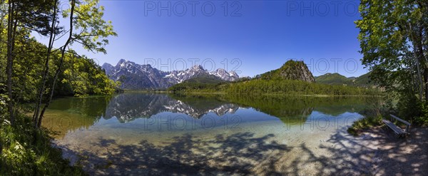 Almsee