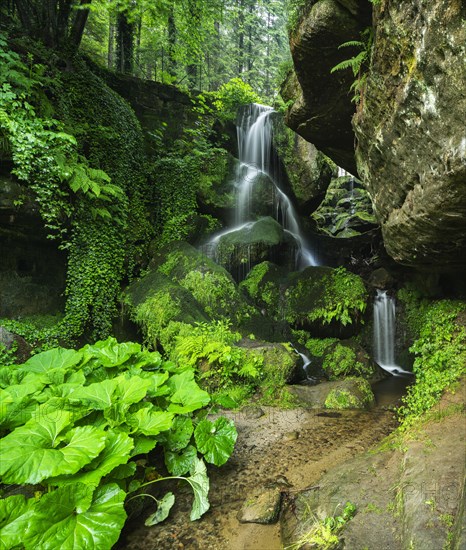 Lichtenhain waterfall in the Kirnitzsch valley