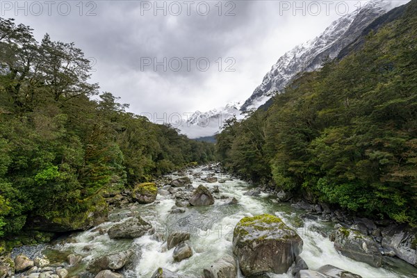 Hollyford river with snowy mountains
