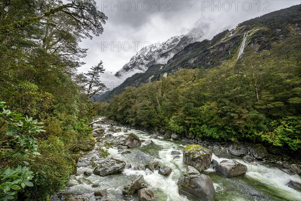 Hollyford river with snowy mountains