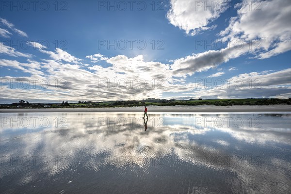 Reflection