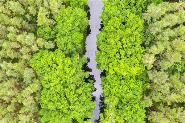 Ludwig-Danube-Main Canal in the forest from above