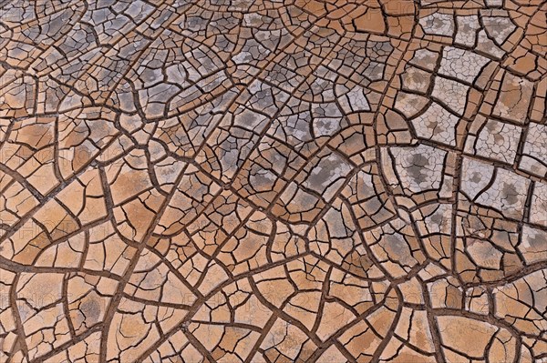 Cracks in clay soil form mosaic-like structure