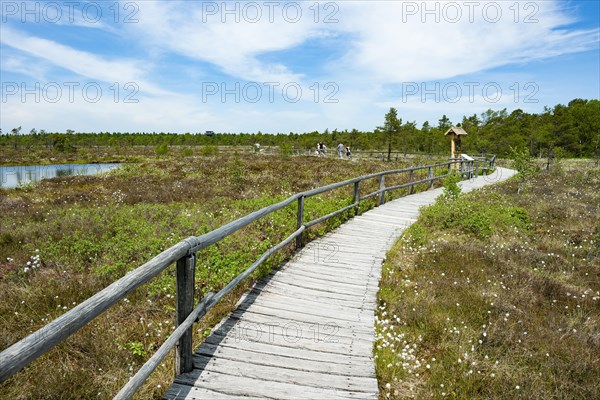 Boarded footpath