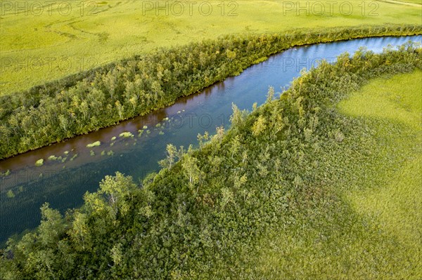 Turquoise river flowing through lush green swamp area