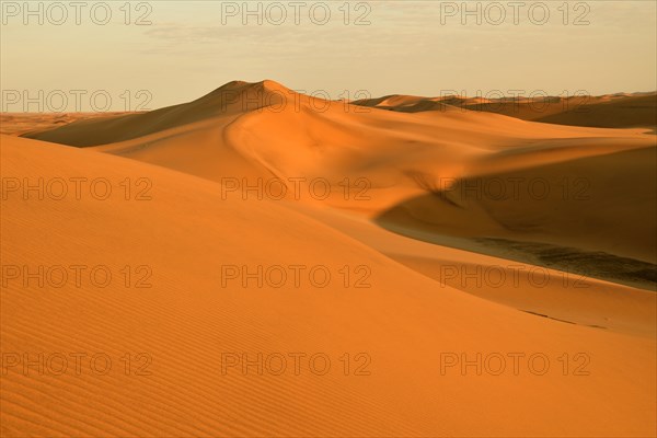 Sand dunes of the Namib Desert