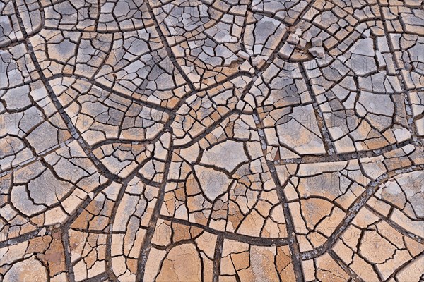 Cracks in clay soil form mosaic-like structure