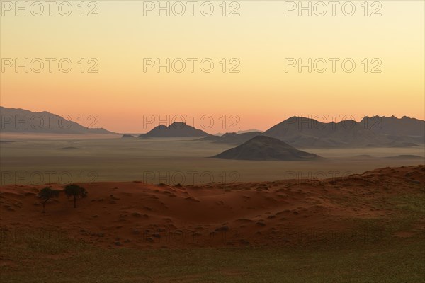 Landscape in the soft evening light at the edge of the Namib Desert