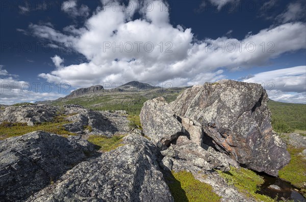 Rocky landscape