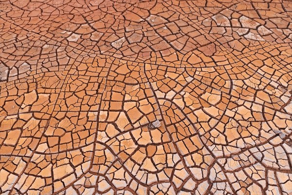 Cracks in clay soil form mosaic-like structure