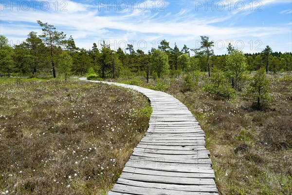 Boarded footpath