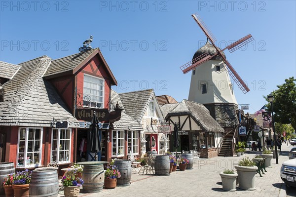Scandinavian half-timbered architecture and windmill