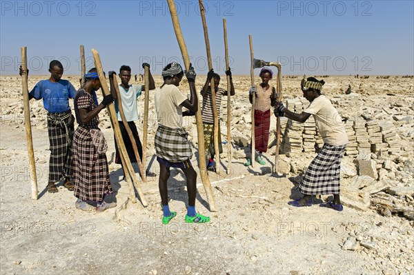Traditional mining of salt at the Assale Salt Lake