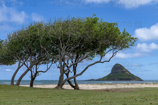 Chinaman's Hat
