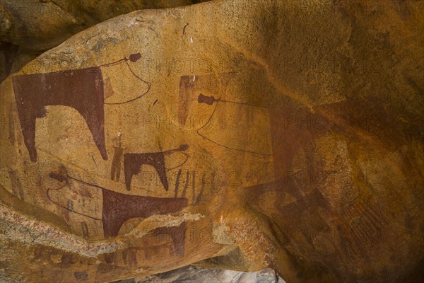 Cave paintings in Laas Geel caves