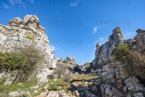 Rock formations of limestone