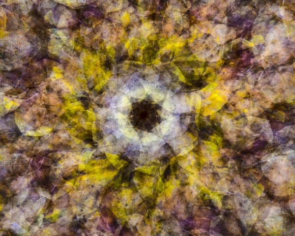 Autumn mosaic