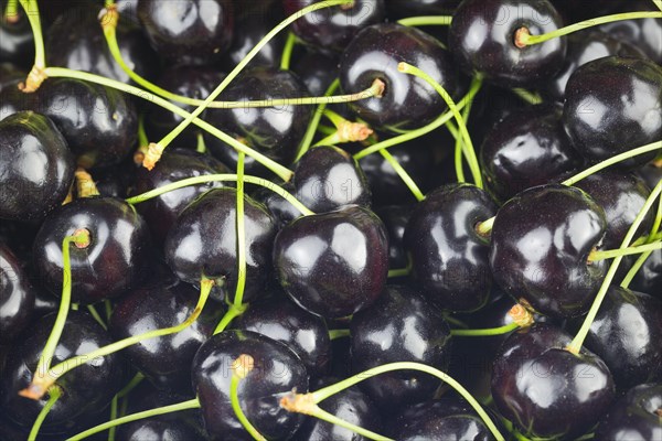 Moretta di Vignola or moretta cherry