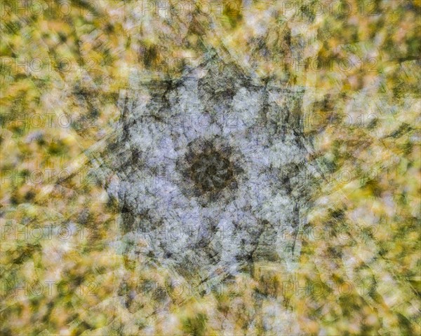Autumn mosaic