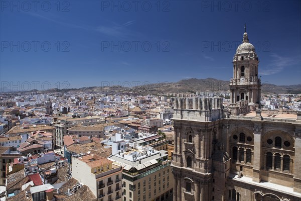 City view with cathedral