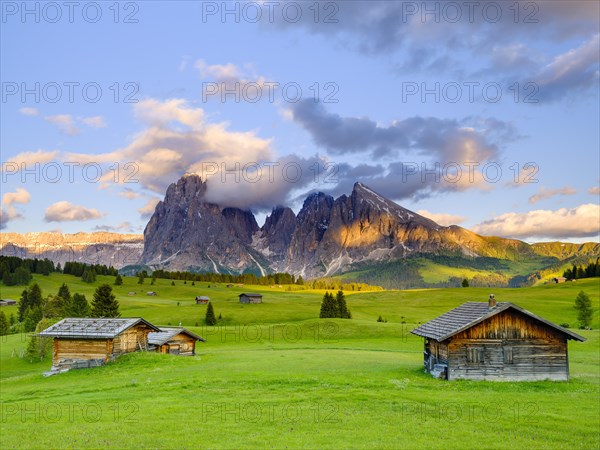 Alpe di Siusi mountain pasture