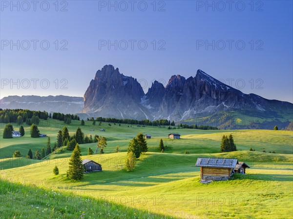 Alpe di Siusi