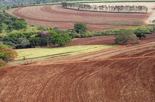 Aerial View of Farm with Harvested Sugarcane Crops