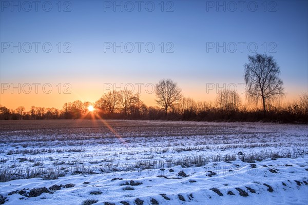Sunrise