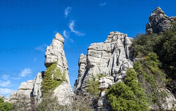 Rock formations of limestone