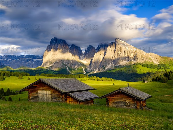 Alpe di Siusi mountain pasture