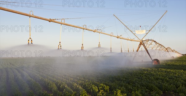Irrigation of soybean crops at Luis Eduardo Magalhaes