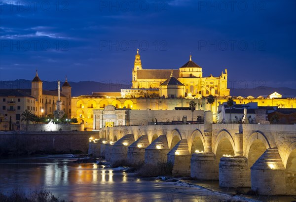 Illuminated Puente Romano