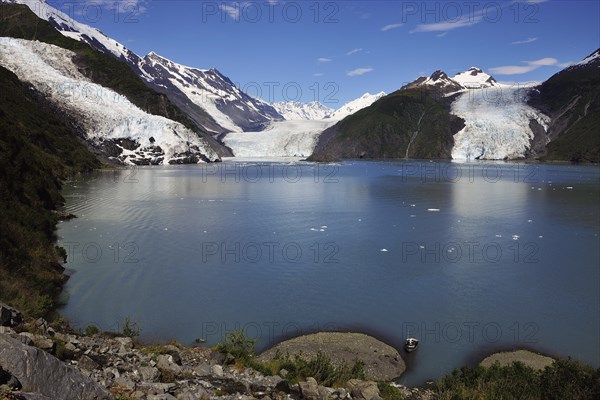Barry Glacier in the Barry Arm
