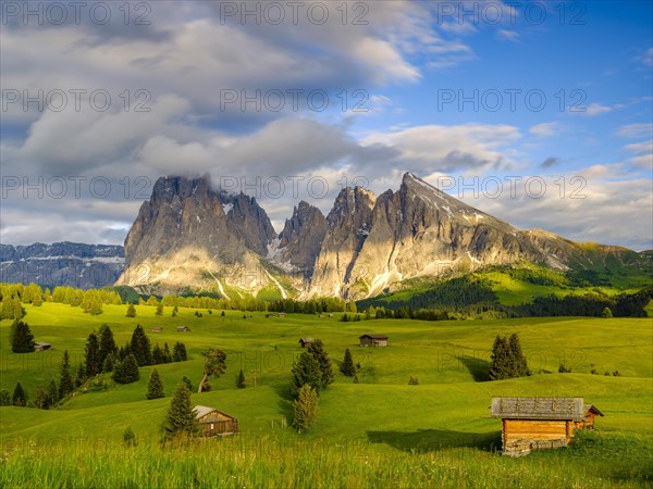 Alpe di Siusi mountain pasture