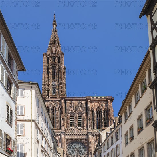 View from the Rue Merciere to the west facade of the Strasbourg Cathedral
