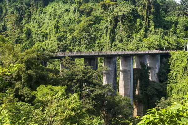 Road bridge in the tropical jungle