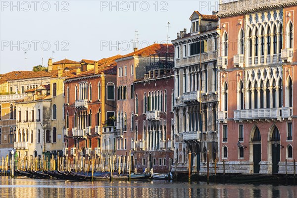 Historical house facades on the Canale Grande in the morning light