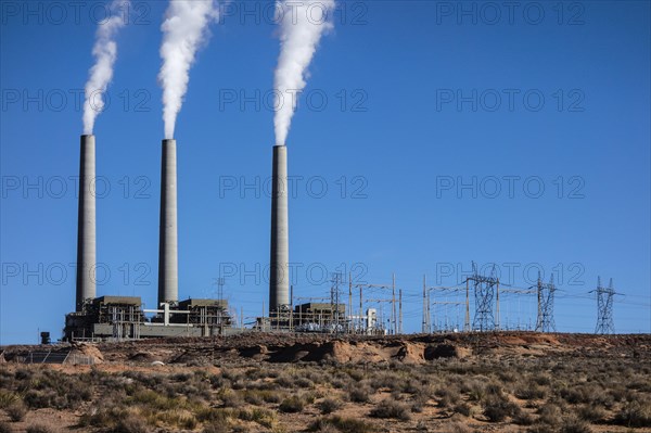 Steaming vents