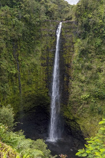 Akaka Falls