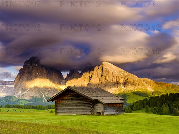 Alpe di Siusi