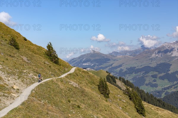 Mountain biker on a trail